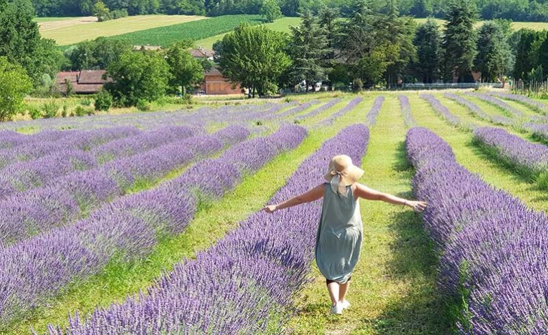 esperienze tra la lavanda