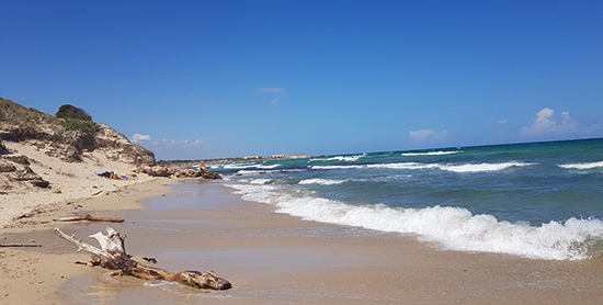 Spiagge libere Puglia Torre Guaceto