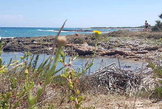 Spiagge libere Puglia Riserva Naturale