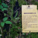 Appennino-modenese-percorsi-insoliti_coperta