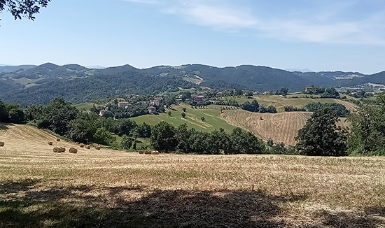Viano-esperienze-da-fare_panorama