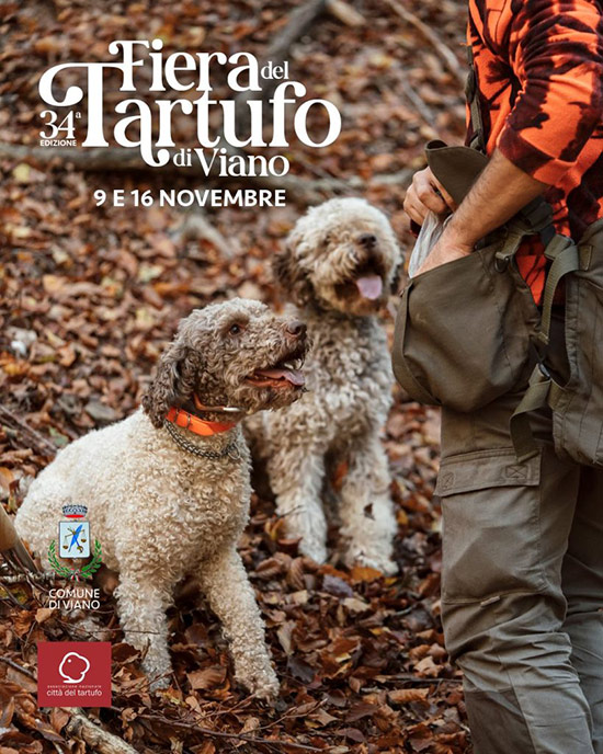 sagre-ed-eventi-Reggio-Emilia 2025